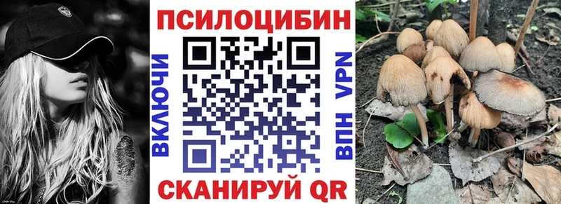 Псилоцибиновые грибы мухоморы  наркота  Болохово 
